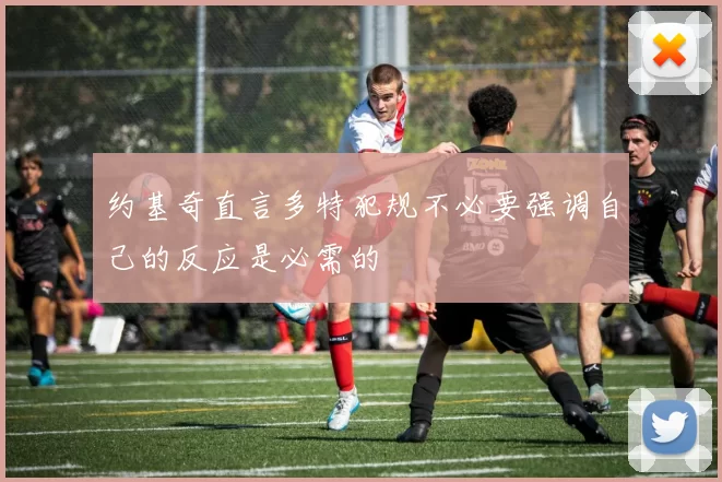 约基奇直言多特犯规不必要强调自己的反应是必需的